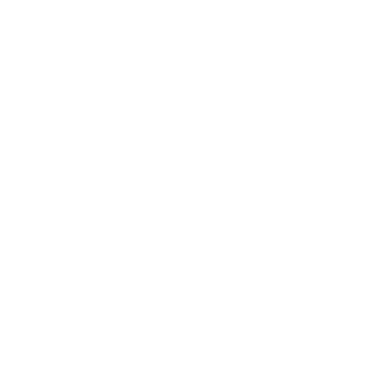 NOSE ART GARAGE ロゴ